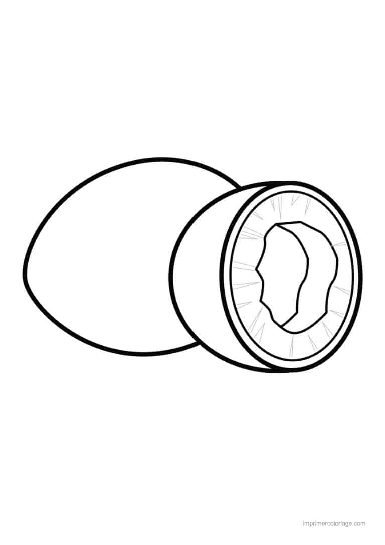 coloriage noix de coco noix de coco entiere et ouverte - dessin gratuit &agrave; imprimer
