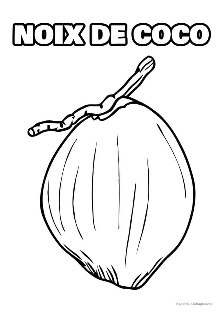 coloriage noix de coco noix de coco et sa tige - dessin gratuit &agrave; imprimer