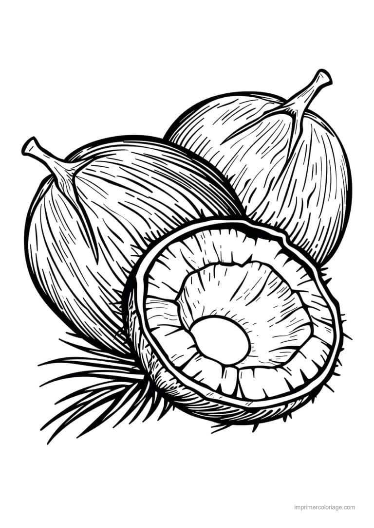 coloriage noix de coco noix de coco et ses quartiers - dessin gratuit &agrave; imprimer