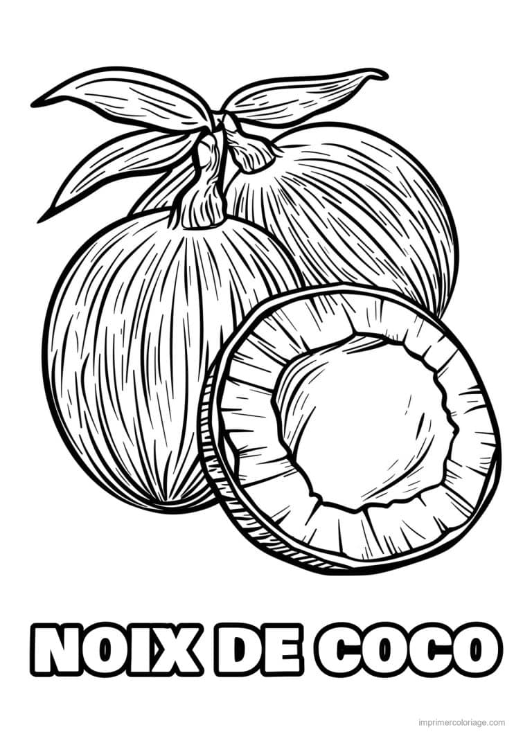 coloriage noix de coco noix de coco gravee 135 - dessin gratuit &agrave; imprimer