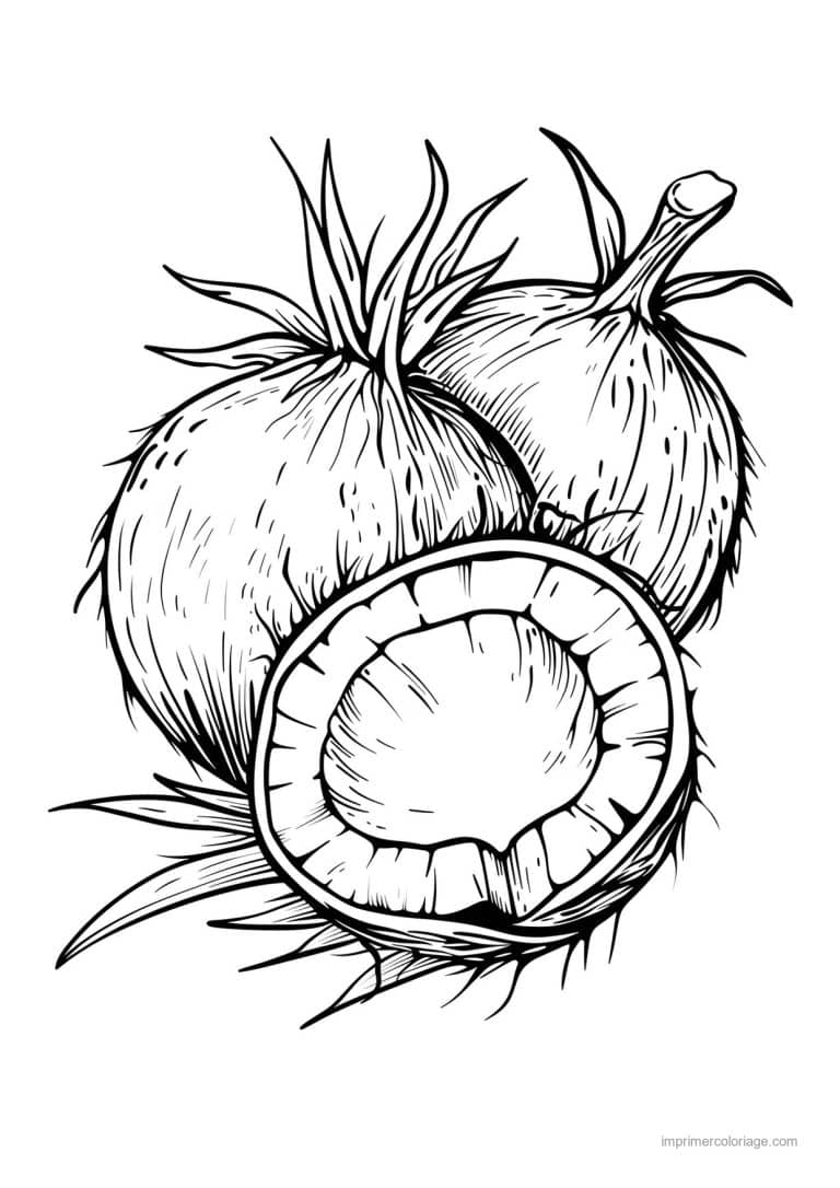coloriage noix de coco noix de coco gravee 137 - dessin gratuit &agrave; imprimer