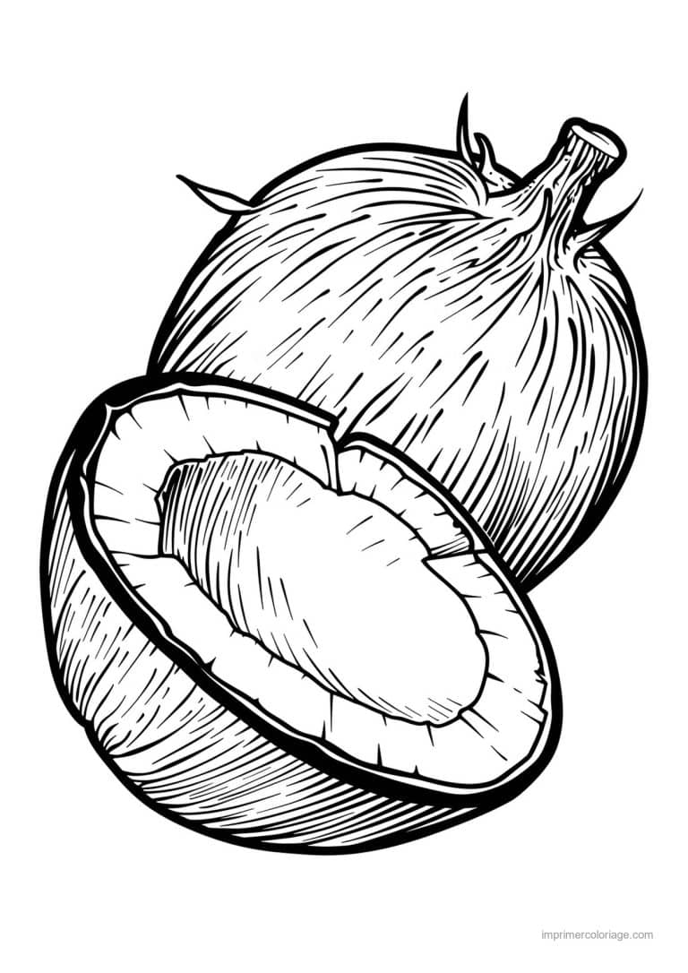 coloriage noix de coco noix de coco gravee 167 - dessin gratuit &agrave; imprimer