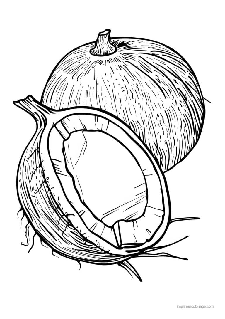 coloriage noix de coco noix de coco ouverte 142 - dessin gratuit &agrave; imprimer