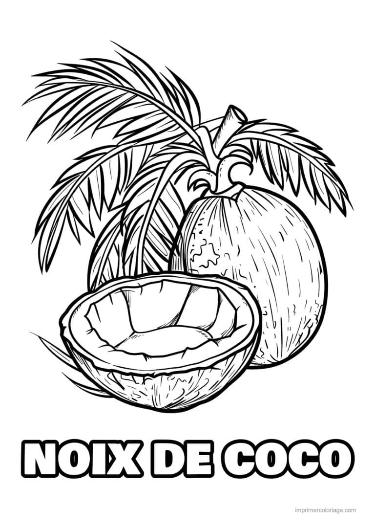 coloriage noix de coco noix de coco ouverte 155 - dessin gratuit &agrave; imprimer