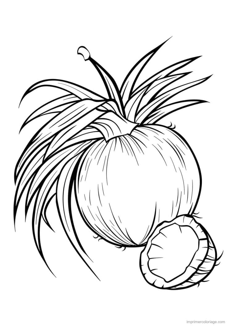 coloriage noix de coco noix de coco ouverte 190 - dessin gratuit &agrave; imprimer