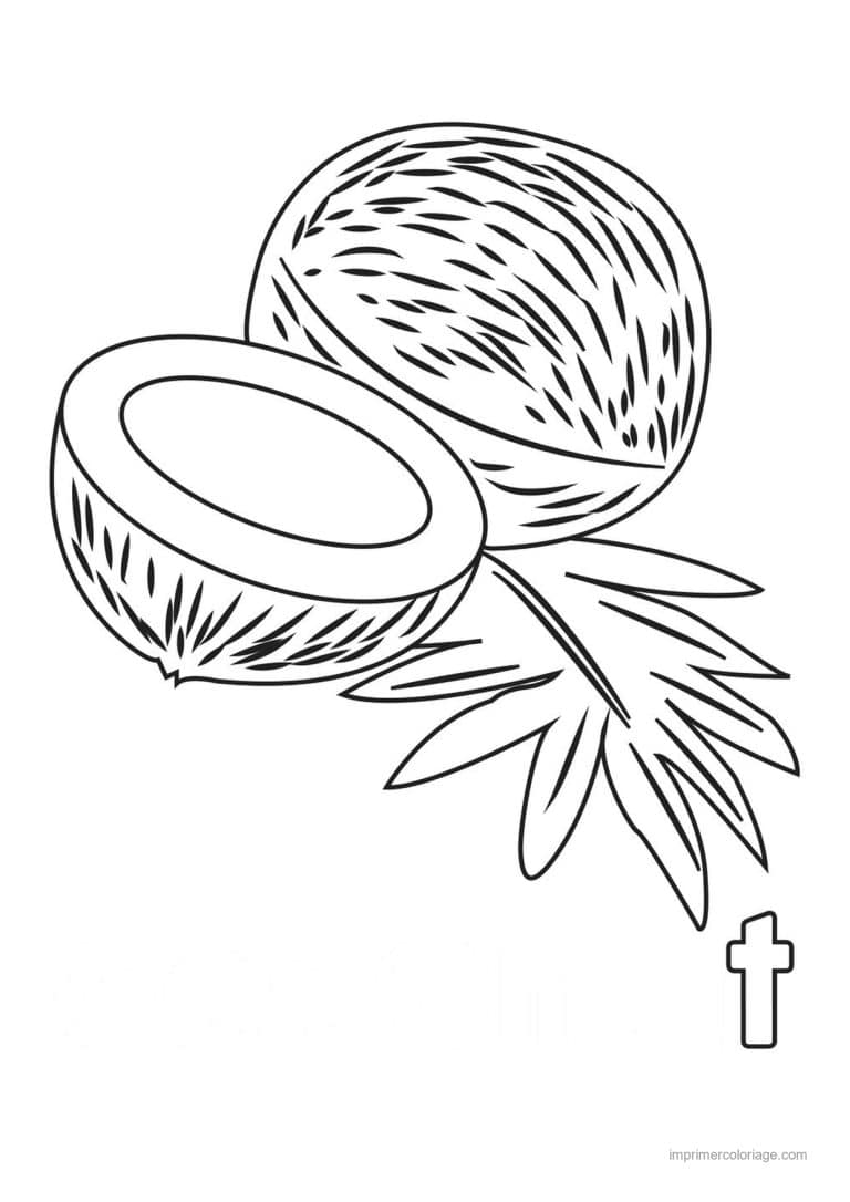 coloriage noix de coco noix de coco ouverte et palmes - dessin gratuit &agrave; imprimer