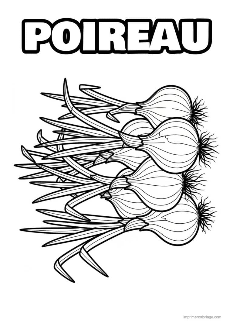 coloriage oignon ail poireau bottes d oignons nouveaux - dessin gratuit &agrave; imprimer