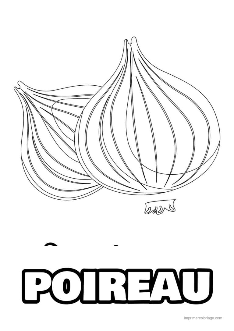 coloriage oignon ail poireau deux oignons - dessin gratuit &agrave; imprimer
