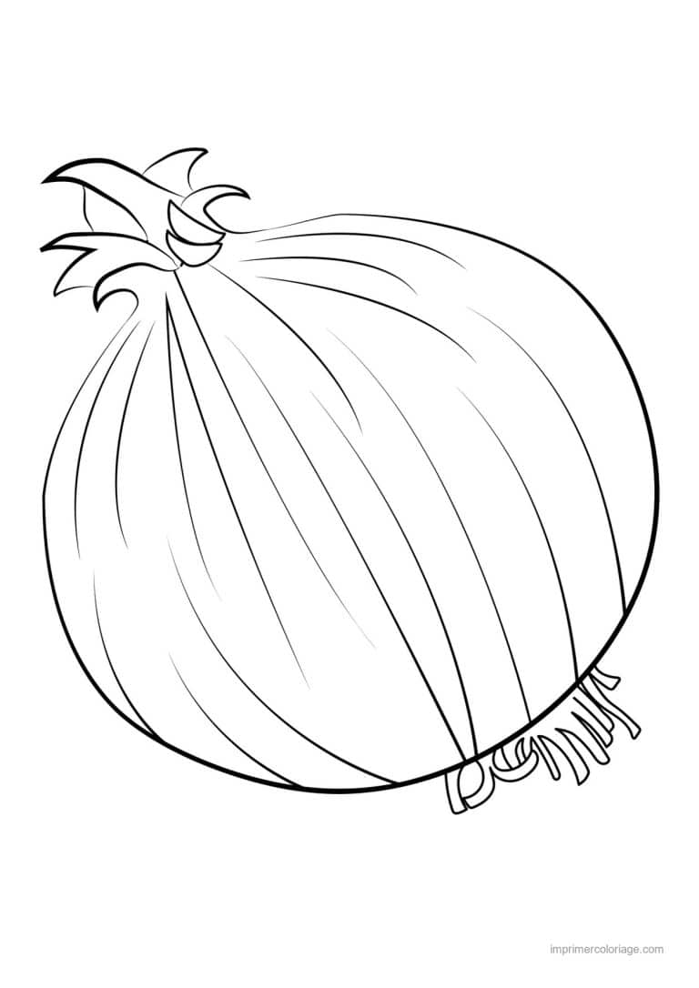 coloriage oignon ail poireau oignon au trait epais 2 - dessin gratuit &agrave; imprimer