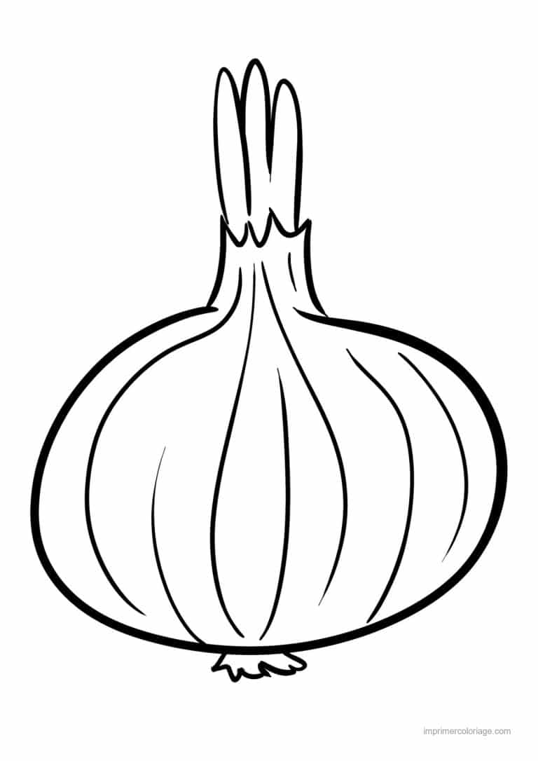 coloriage oignon ail poireau oignon au trait epais - dessin gratuit &agrave; imprimer