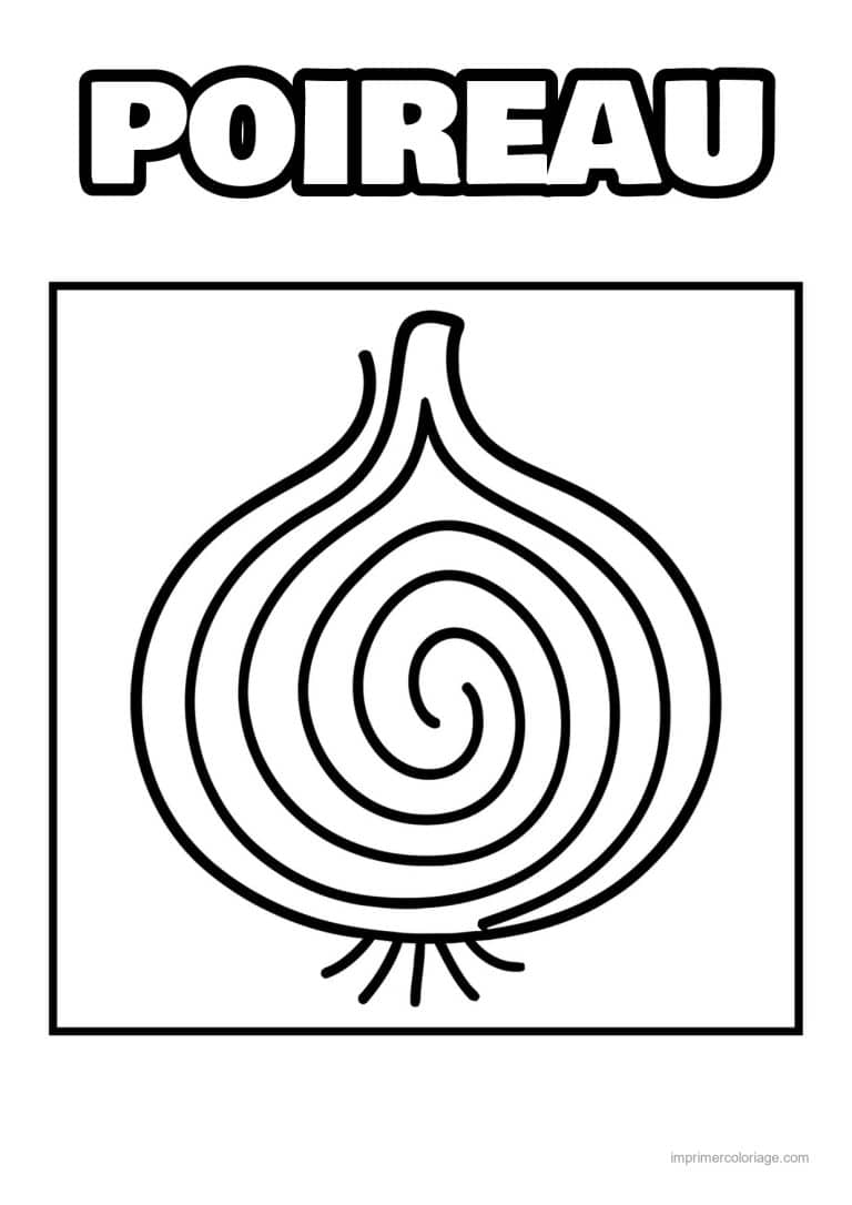 coloriage oignon ail poireau oignon coupe en deux - dessin gratuit &agrave; imprimer