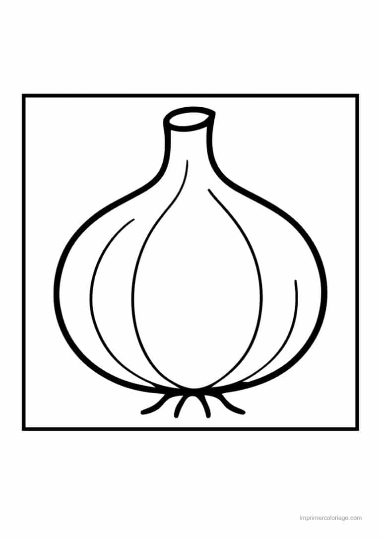 coloriage oignon ail poireau oignon entier - dessin gratuit &agrave; imprimer