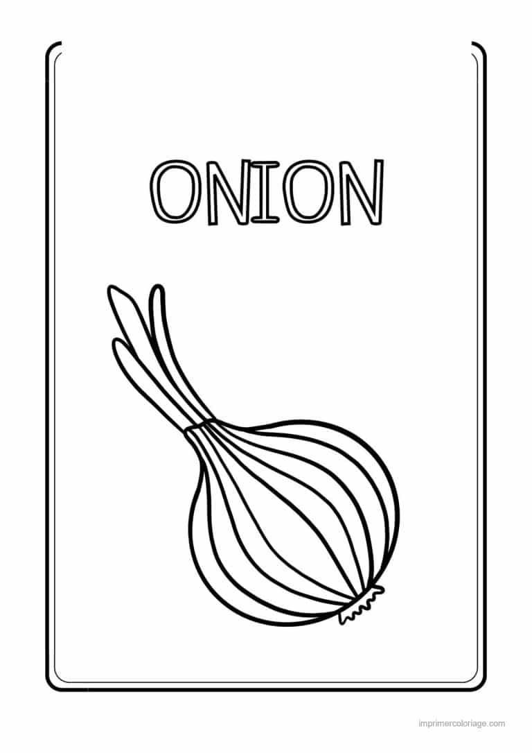 coloriage oignon ail poireau oignon et sa tige - dessin gratuit &agrave; imprimer