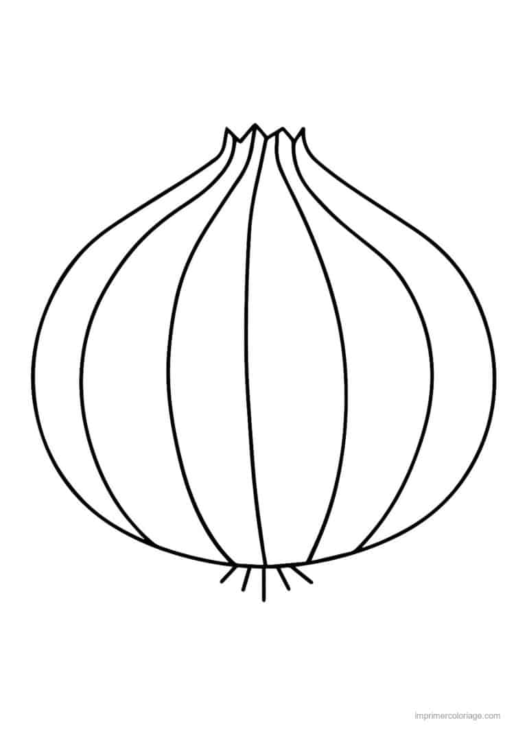 coloriage oignon ail poireau oignon et ses cotes - dessin gratuit &agrave; imprimer