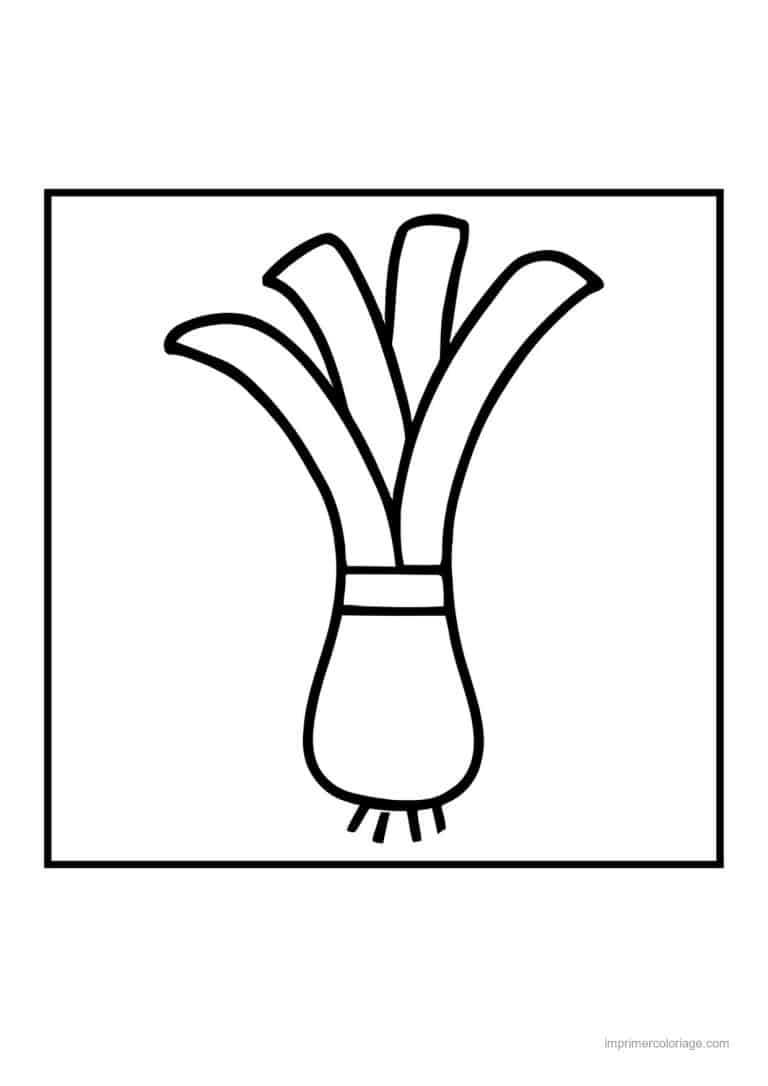 coloriage oignon ail poireau poireau entier - dessin gratuit &agrave; imprimer