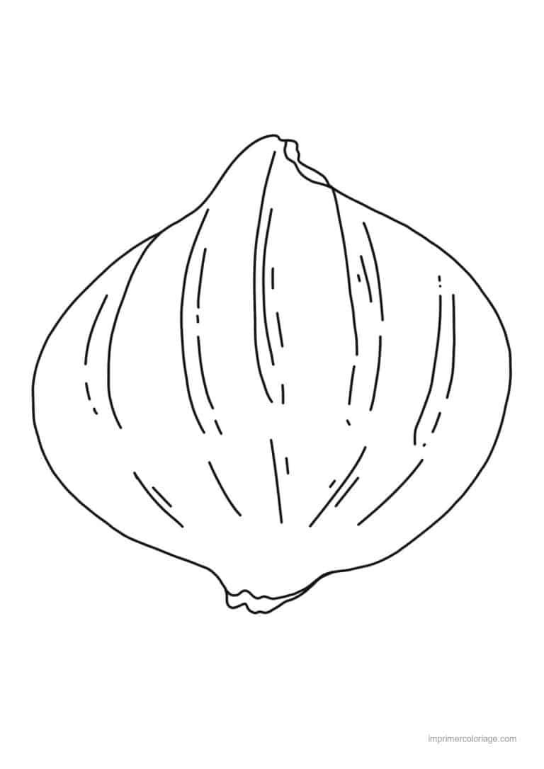 coloriage oignon ail poireau tete d ail - dessin gratuit &agrave; imprimer