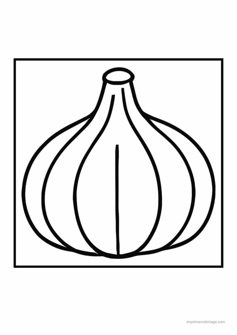 coloriage oignon ail poireau tete d ail entiere - dessin gratuit &agrave; imprimer