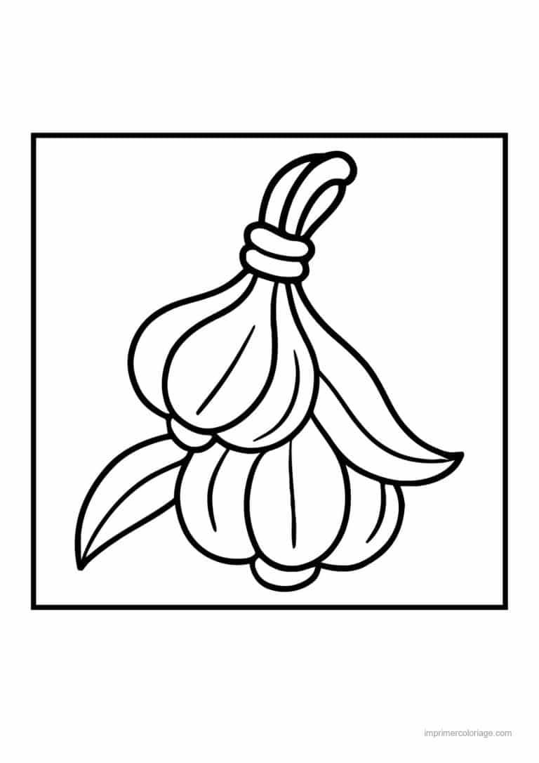 coloriage oignon ail poireau tete d ail et gousses - dessin gratuit &agrave; imprimer