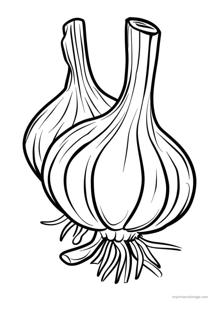 coloriage oignon ail poireau tete d ail gravee 127 - dessin gratuit &agrave; imprimer