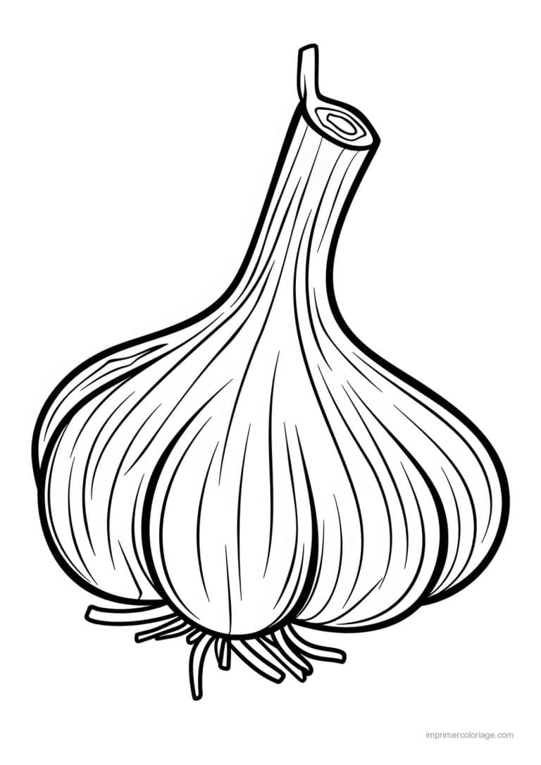 coloriage oignon ail poireau tete d ail gravee 152 - dessin gratuit &agrave; imprimer