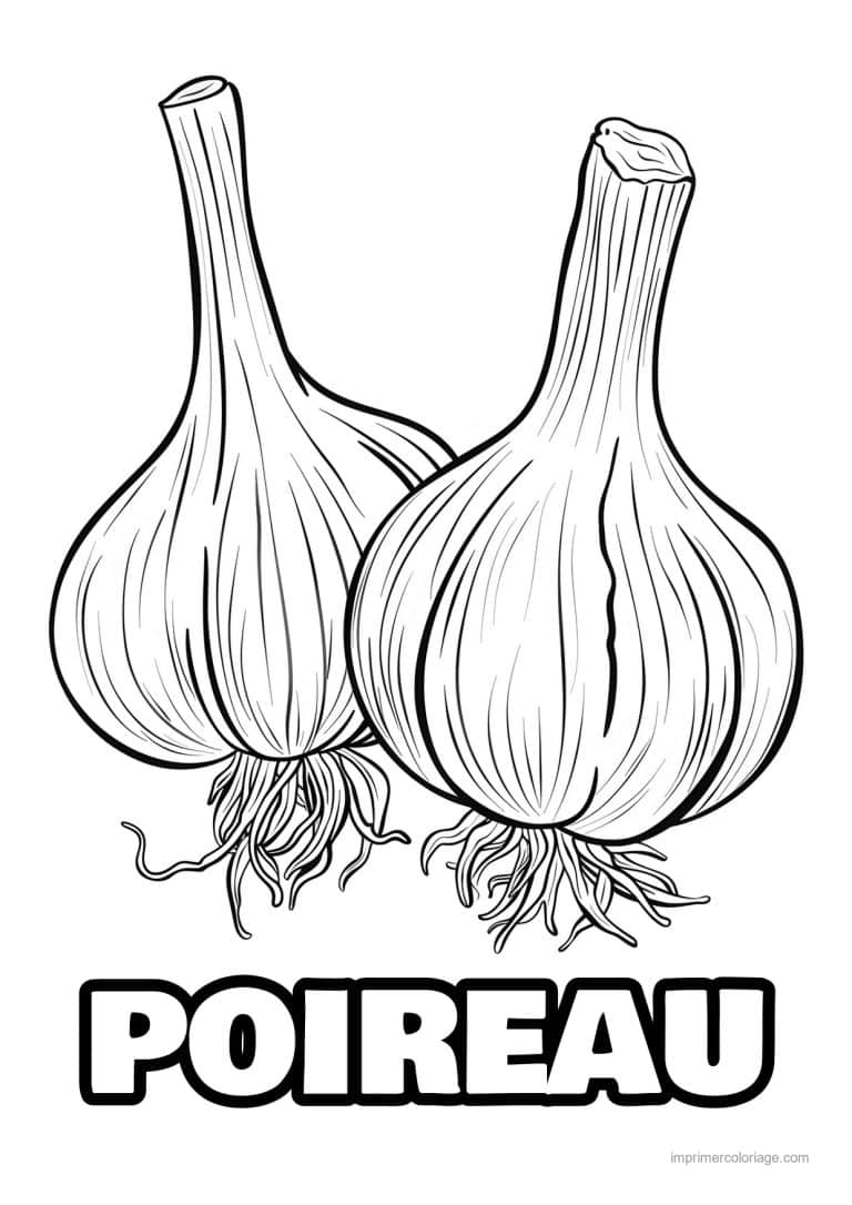 coloriage oignon ail poireau tete d ail gravee 161 - dessin gratuit &agrave; imprimer