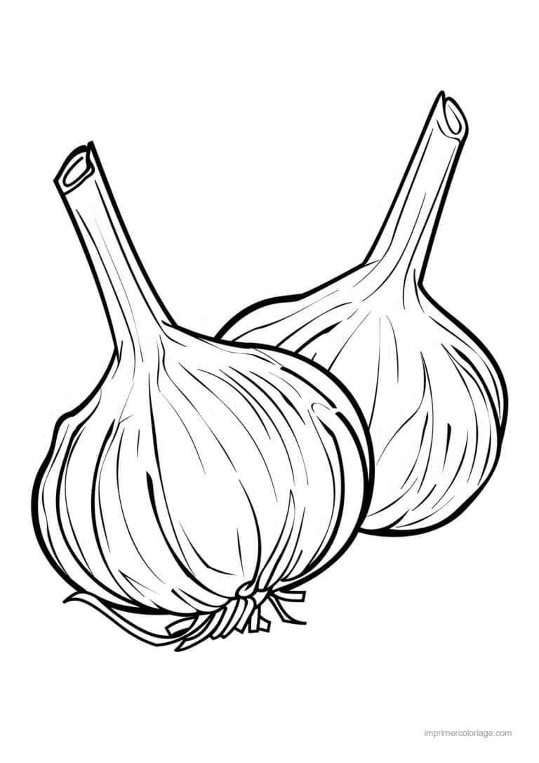 coloriage oignon ail poireau tete d ail gravee 4 - dessin gratuit &agrave; imprimer