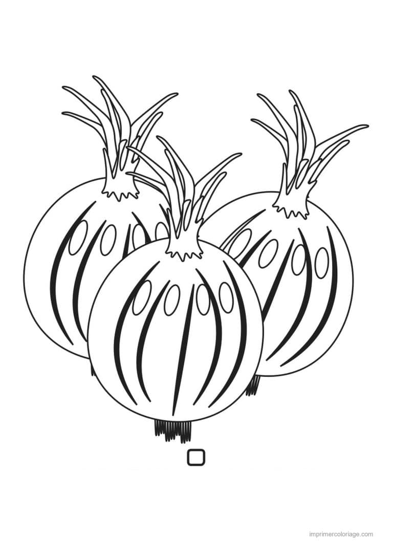 coloriage oignon ail poireau trois oignons et leurs tiges - dessin gratuit &agrave; imprimer