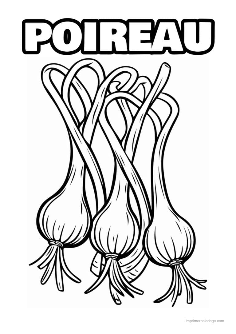 coloriage oignon ail poireau trois oignons nouveaux - dessin gratuit &agrave; imprimer