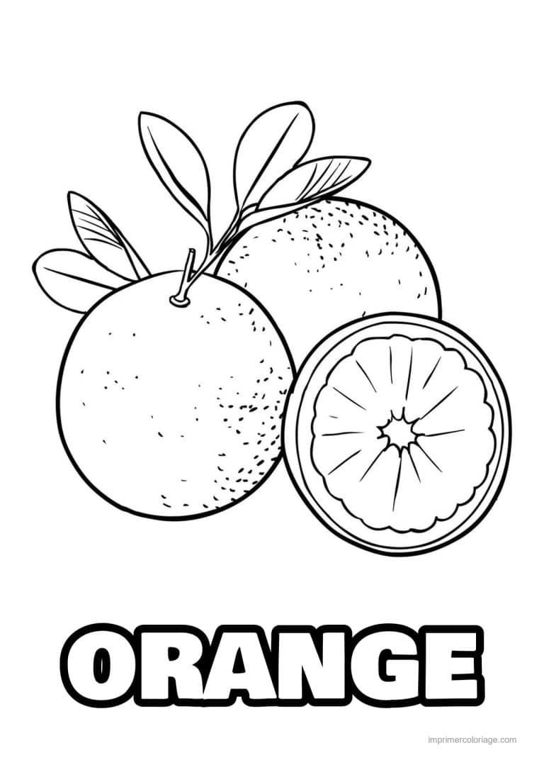 coloriage orange mandarine orange entiere et coupee 4 - dessin gratuit &agrave; imprimer