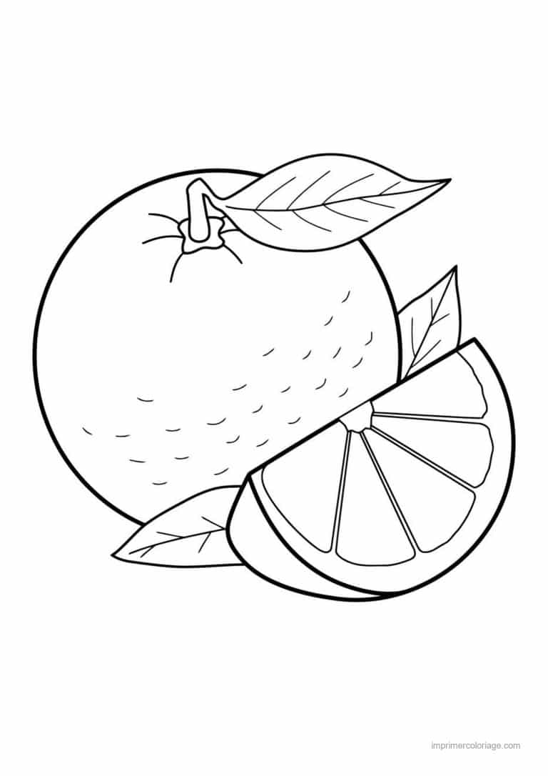 coloriage orange mandarine orange entiere et son quartier - dessin gratuit &agrave; imprimer