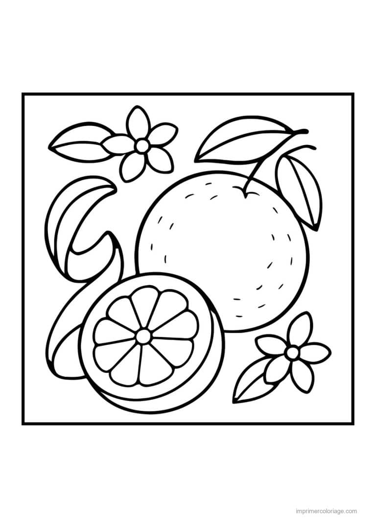 coloriage orange mandarine orange entiere et tranche - dessin gratuit &agrave; imprimer