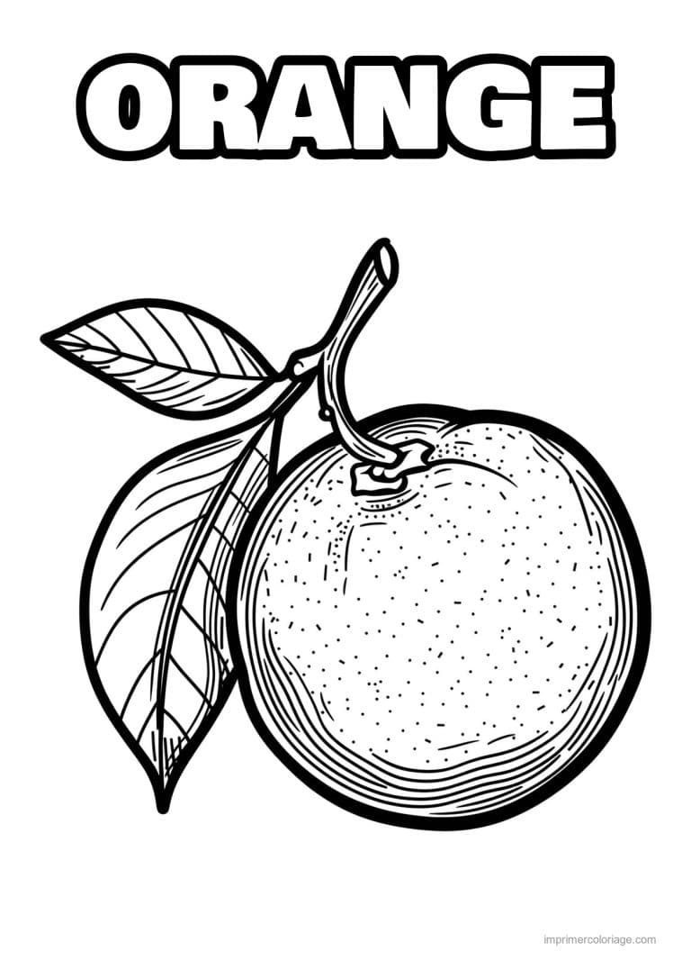 coloriage orange mandarine orange et sa feuille 114 - dessin gratuit &agrave; imprimer