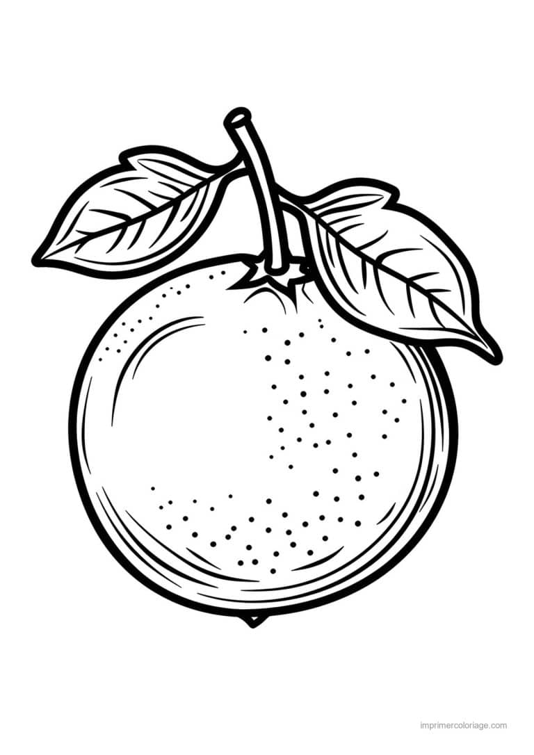 coloriage orange mandarine orange et sa feuille 41 - dessin gratuit &agrave; imprimer