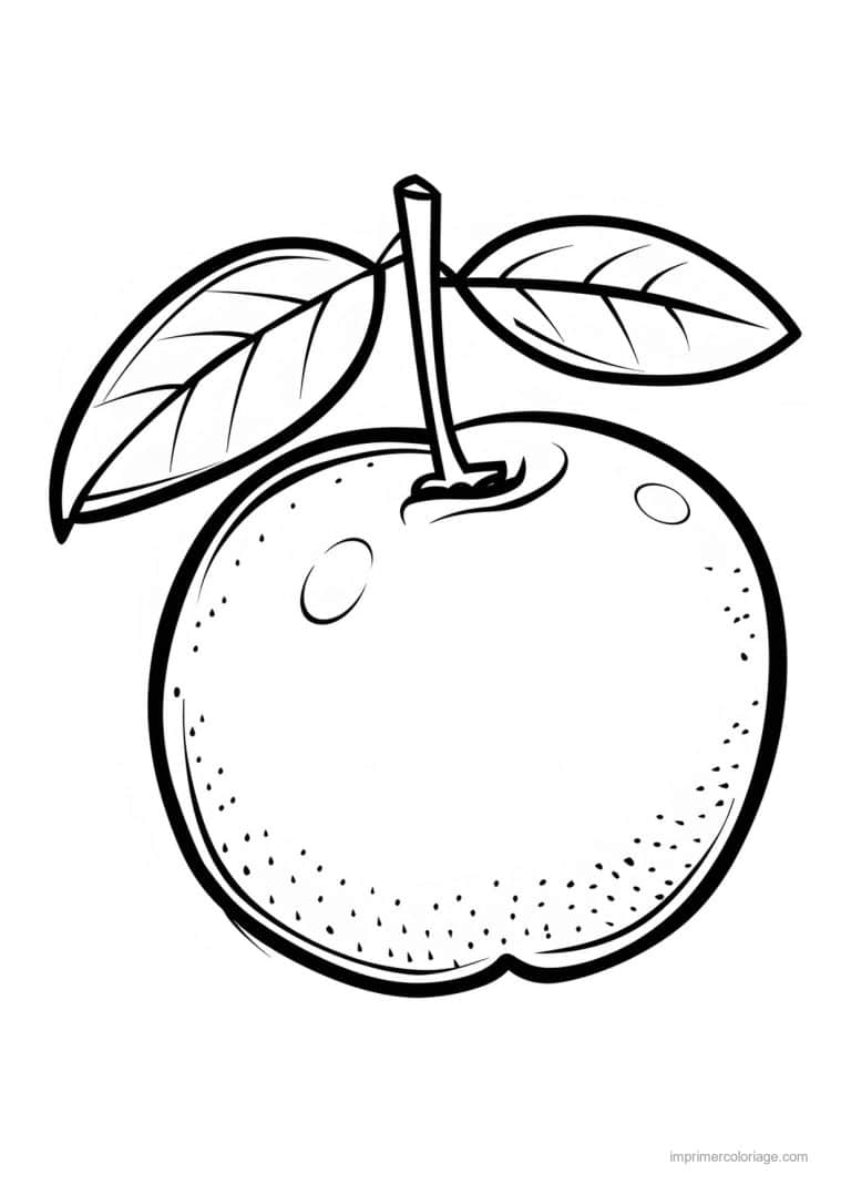 coloriage orange mandarine orange et sa feuille 91 - dessin gratuit &agrave; imprimer