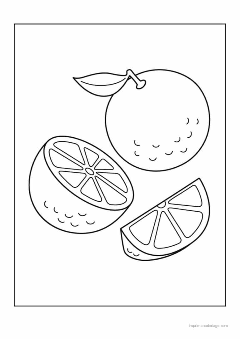 coloriage orange mandarine orange et ses quartiers - dessin gratuit &agrave; imprimer