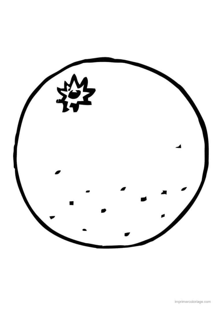 coloriage orange mandarine orange et son calice - dessin gratuit &agrave; imprimer