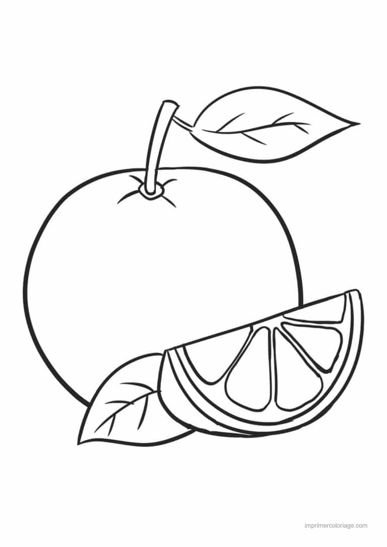 coloriage orange mandarine orange et son quartier 3 - dessin gratuit &agrave; imprimer