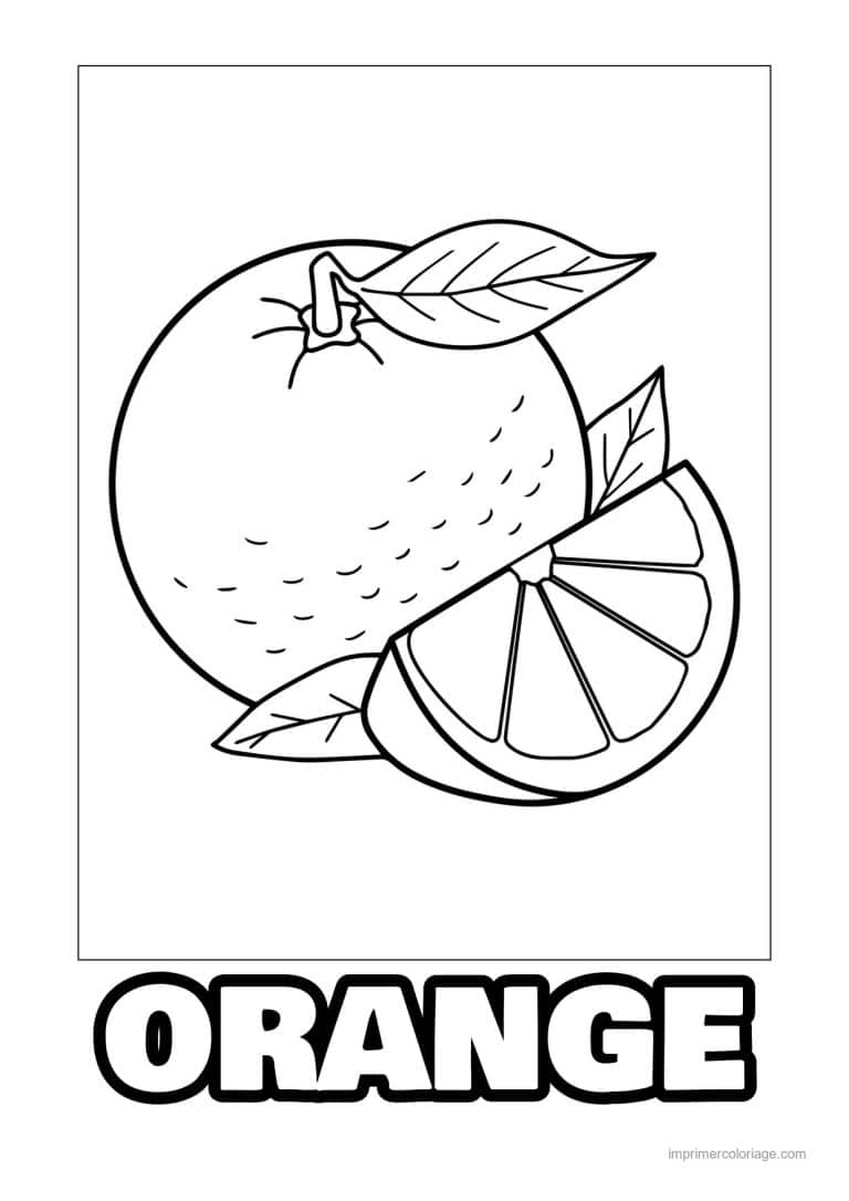 coloriage orange mandarine orange et son quartier - dessin gratuit &agrave; imprimer