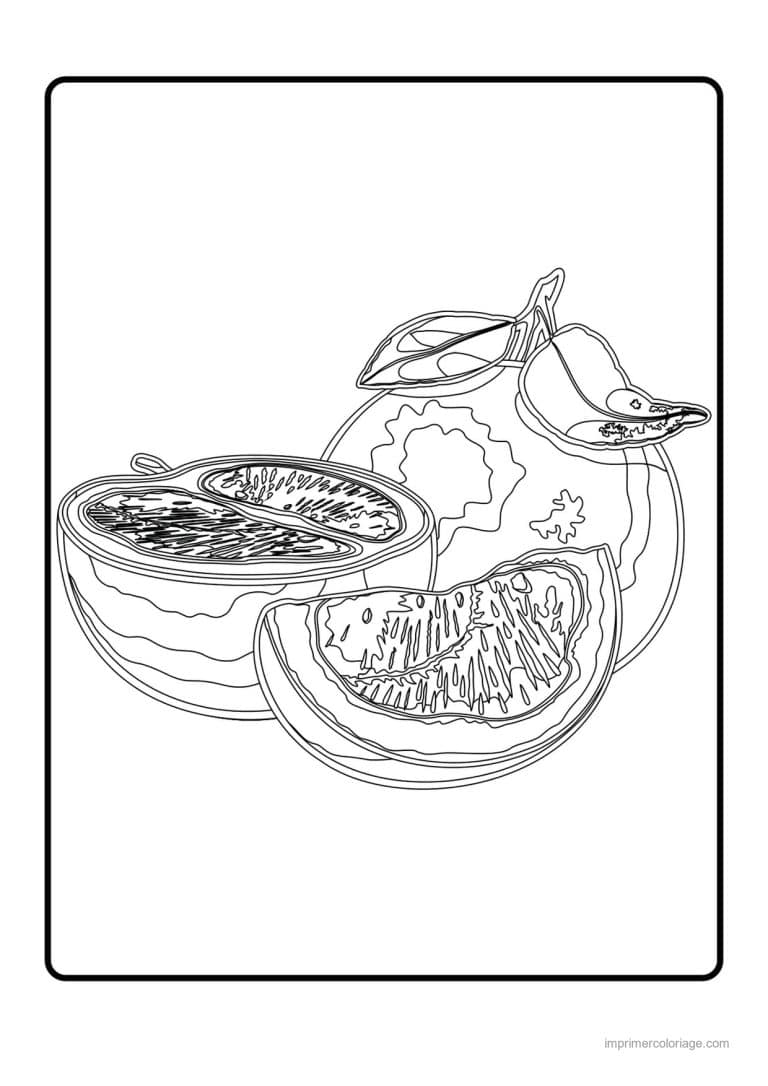 coloriage orange mandarine pamplemousse coupe et ses quartiers - dessin gratuit &agrave; imprimer