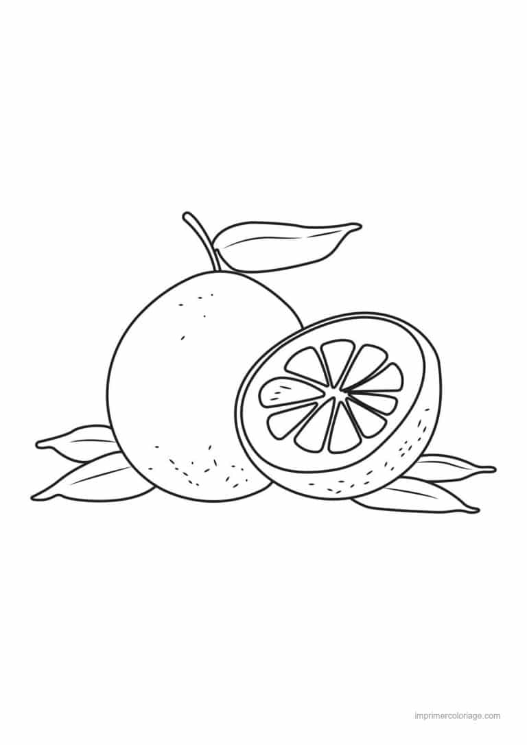 coloriage orange mandarine pomelo entier et coupe - dessin gratuit &agrave; imprimer