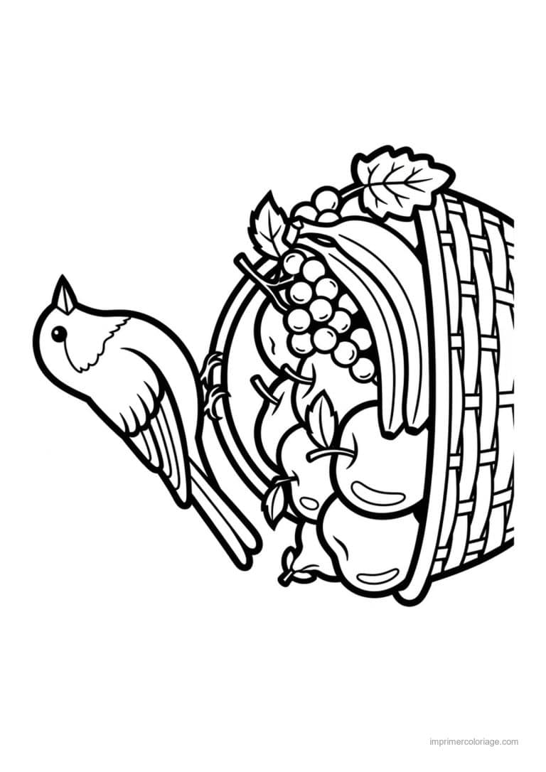 coloriage panier de fruits oiseau et corbeille de fruits - dessin gratuit &agrave; imprimer