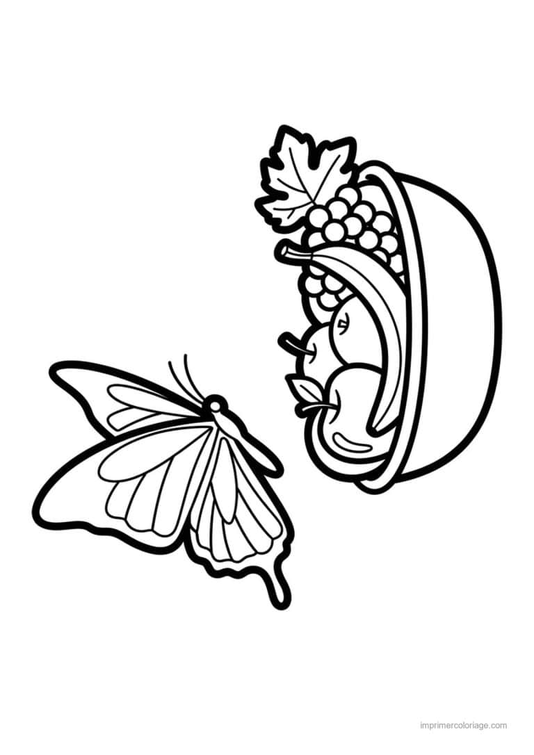 coloriage panier de fruits papillon et coupe de fruits - dessin gratuit &agrave; imprimer
