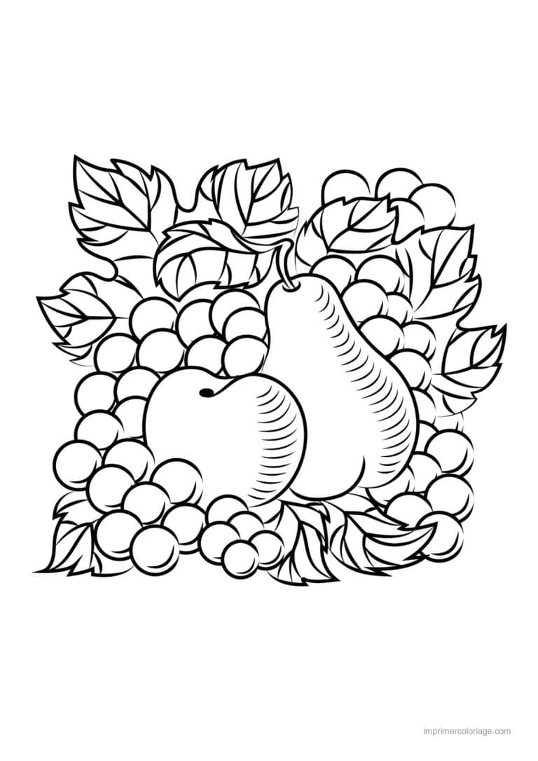 coloriage panier de fruits tapis de fruits varies - dessin gratuit &agrave; imprimer