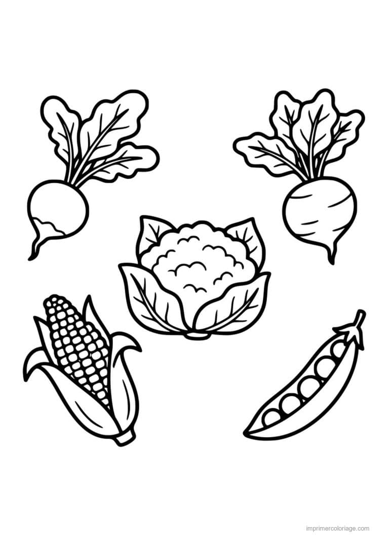 coloriage panier de legumes planche de radis chou fleur et mais - dessin gratuit &agrave; imprimer