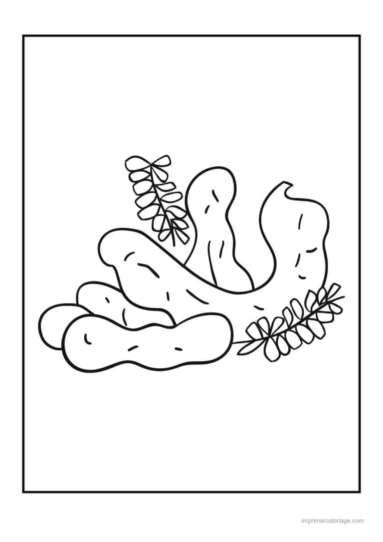coloriage panier de legumes racines de gingembre et herbes - dessin gratuit &agrave; imprimer
