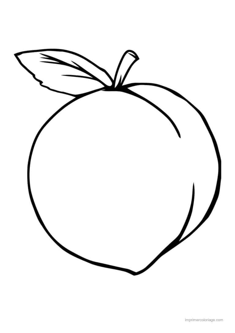coloriage peche abricot prune abricot et sa feuille - dessin gratuit &agrave; imprimer