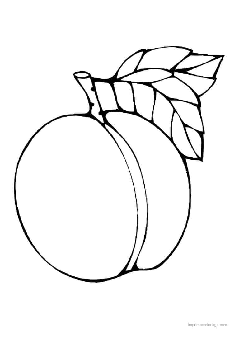 coloriage peche abricot prune abricot et ses feuilles - dessin gratuit &agrave; imprimer