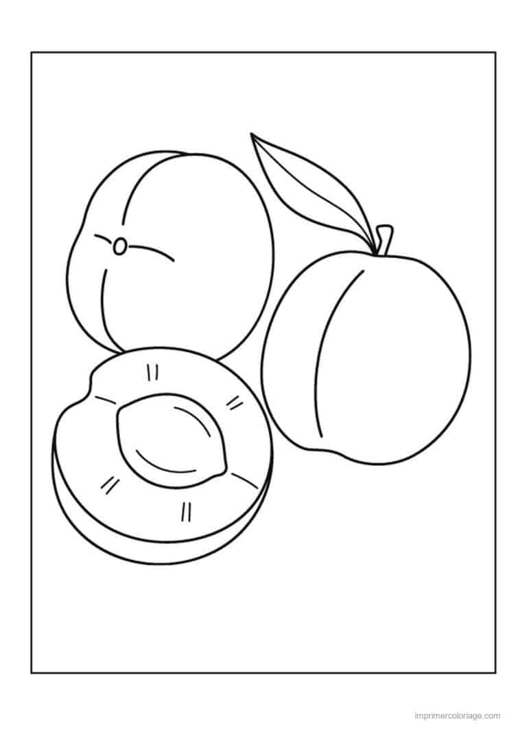coloriage peche abricot prune abricots entier et coupe 2 - dessin gratuit &agrave; imprimer