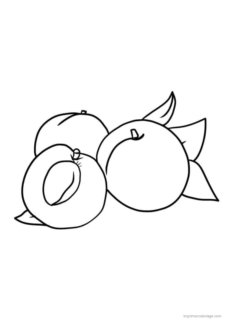 coloriage peche abricot prune abricots entier et coupe 4 - dessin gratuit &agrave; imprimer
