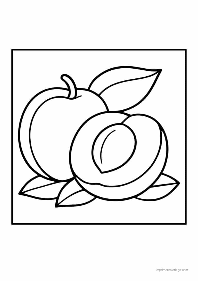 coloriage peche abricot prune abricots entier et coupe - dessin gratuit &agrave; imprimer